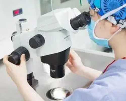 浙江试管婴儿医院指南与成功率分析
