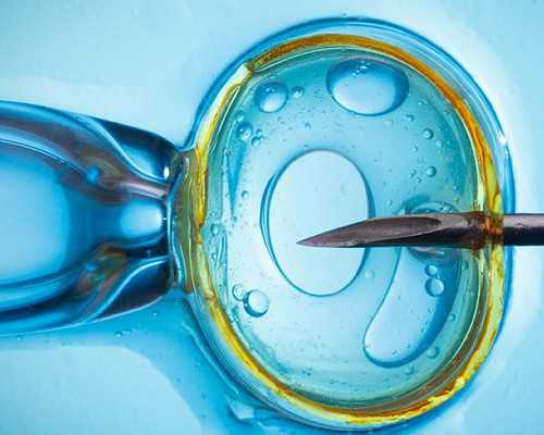 杭州专业代怀服务解析，太原供卵中介与试管包男孩选择指南