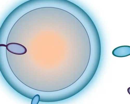 杭州代怀费用与供卵机构选择指南