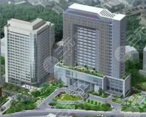 浙江代生儿子费用与杭州邵逸夫医院试管服务解析