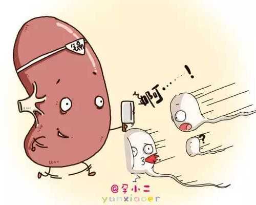 杭州助孕指南：妇幼保健院试管婴儿医生与代怀服务解析