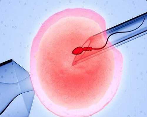 试管移植的替代选择有哪些