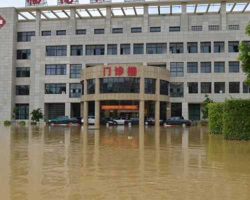 婴儿头发护理饮食指南与助孕营养支持