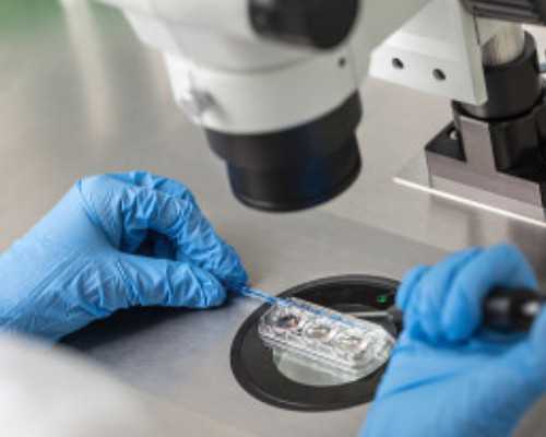 2026年武汉供卵试管医院与华中卵子库指南