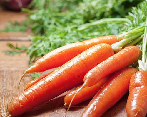 输卵管炎症对试管婴儿成功率的影响及应对措施