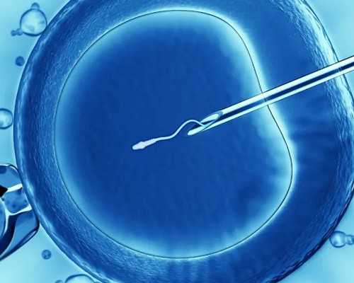 最可靠辅助生殖服务与试管婴儿费用全解析