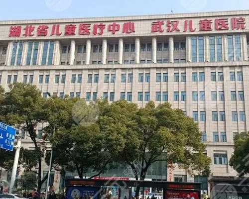 第三代试管婴儿费用解析与助孕选择指南