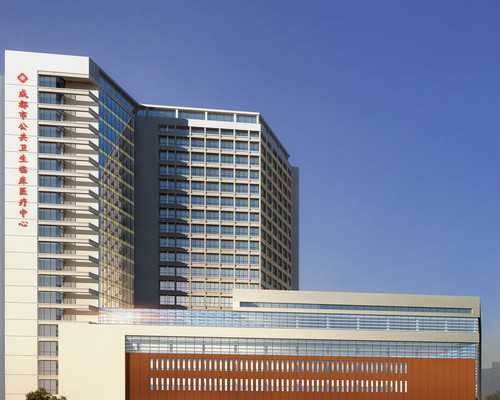 卵巢巧克力囊肿患者借卵代怀试管婴儿成功率分析