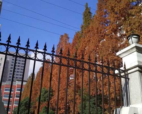 浙江嘉兴与杭州试管婴儿医院选择指南及冷冻胚胎案例解析