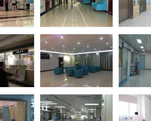 代怀公司官网与试管婴儿技术探讨