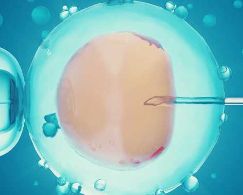 机构借卵靠谱吗？试管婴儿费用解析