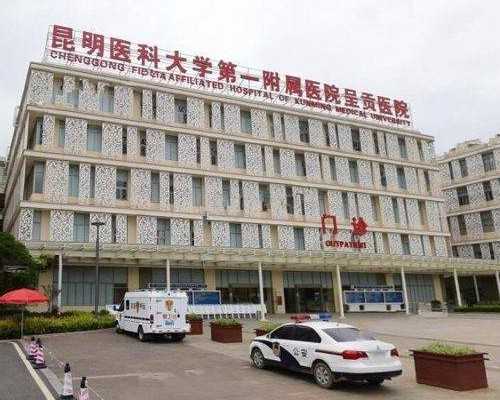 重庆助孕公司服务解析与第三代试管婴儿费用指南