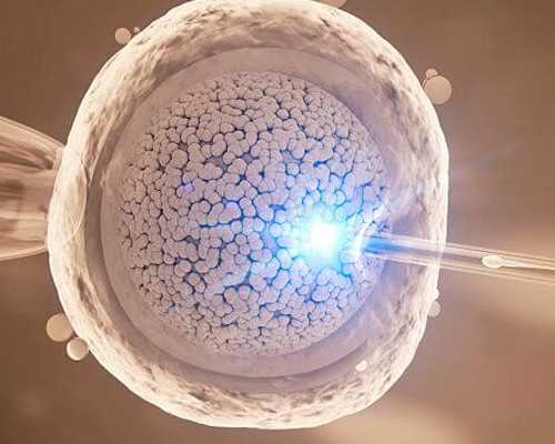 试管婴儿助孕费用解析与医院选择指南