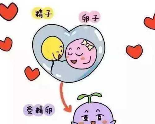 杭州代怀宝宝公司与妇保医院试管婴儿费用详解