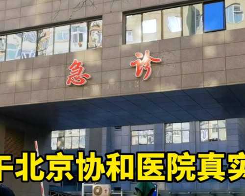 邵逸夫医院试管婴儿费用与门诊时间解析