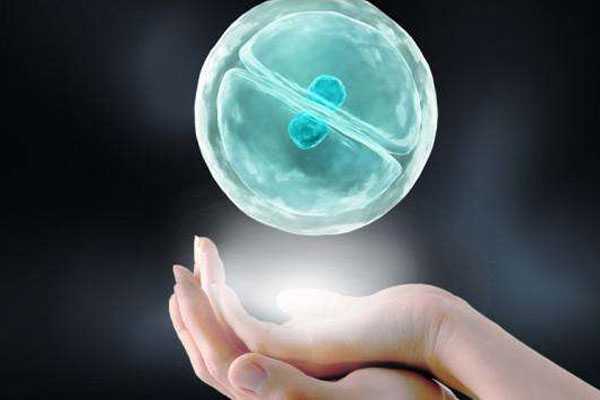 代孕产子价格的-广州专业的助孕包成功_未成熟卵母细胞获取及其IVM培养，IVM已
