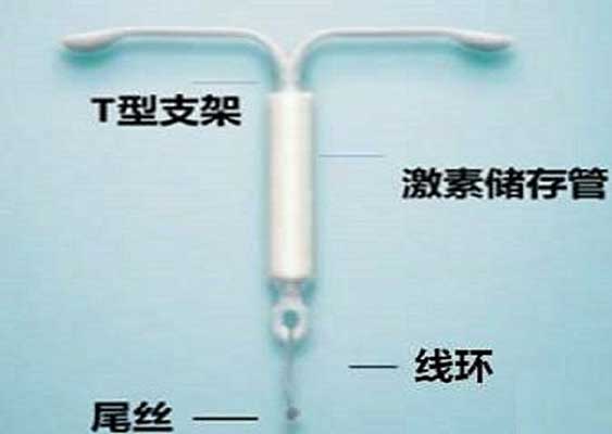 广州正规助孕网-广州助孕的技术基础-广州供卵怎么要联系方式